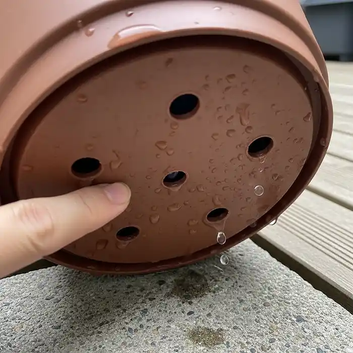 Choosing the Right Containers for Small-Space Gardening 3 Proper drainage holes in container bottom for healthy plant roots