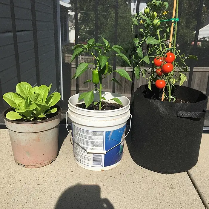 Container Gardening For Food : Vegetables & Herbs In Just 1 Square Foot ...