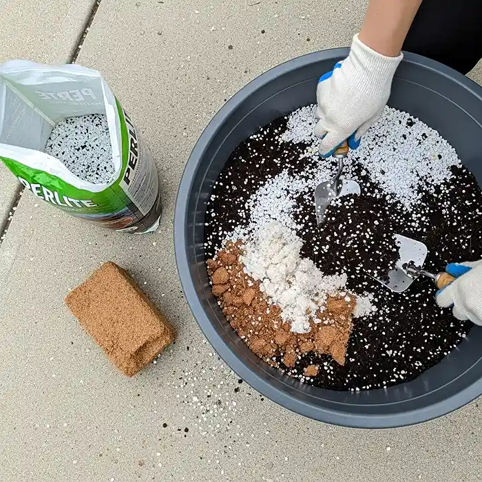 Cherry Tomatoes vs Regular Tomatoes in Pots 3 Mixing coconut coir perlite and compost for container tomato potting mix