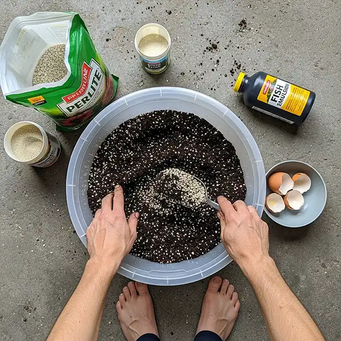 How To Grow Tomatoes In Containers (No Yard Needed) | City Cultivator