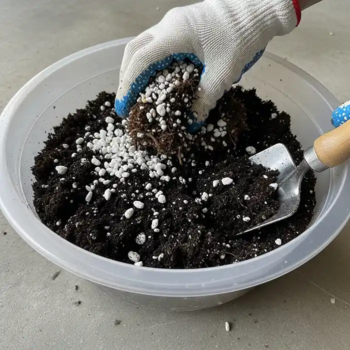 How Often Should You Change Potting Soil? 4 Refreshing old potting soil with perlite and worm castings amendments