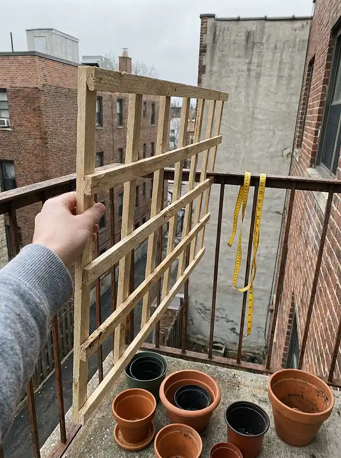 Assessing small balcony space with trellis and empty pots in early spring