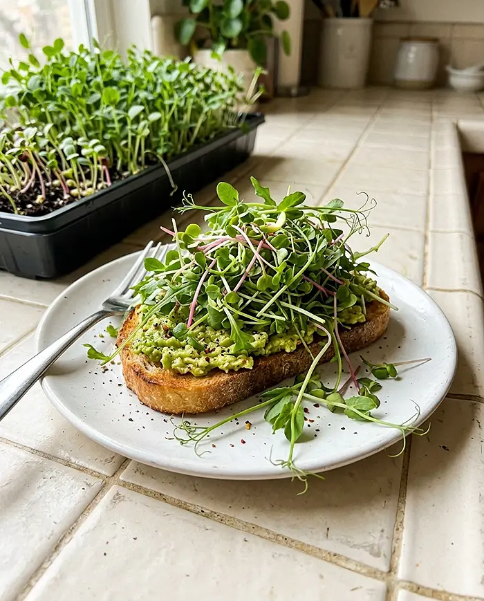 Best Microgreens to Grow Indoors for Beginners 5 Avocado toast topped with fresh homegrown microgreens from indoor tray