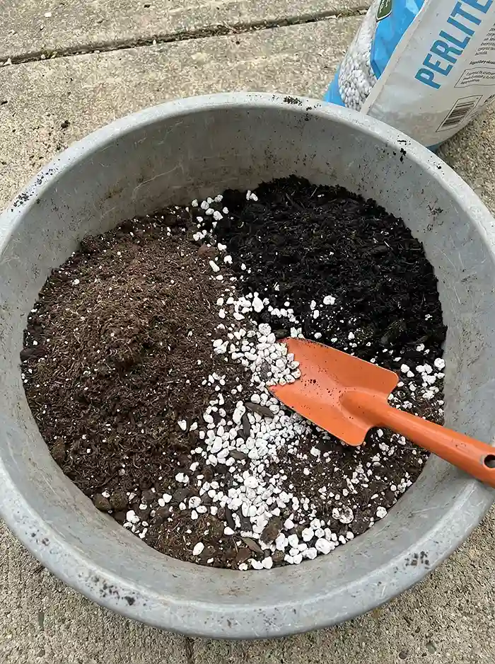Leafy Greens for Beginners 1 Container soil mix showing potting mix compost and perlite before blending