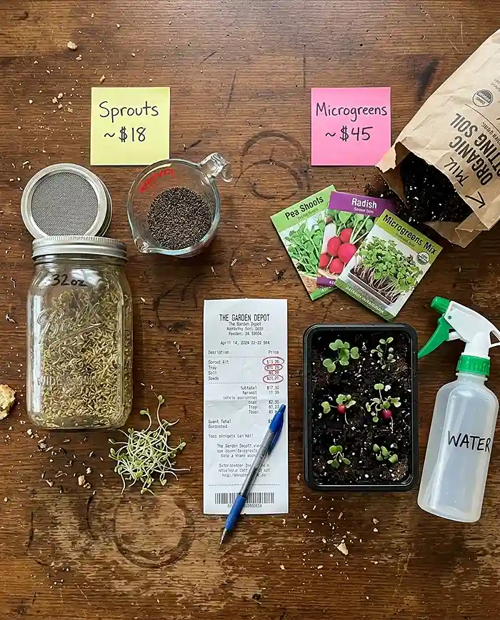 Sprouts vs. Microgreens for Beginners 2 Cost comparison of sprouting seeds versus microgreen supplies for beginners