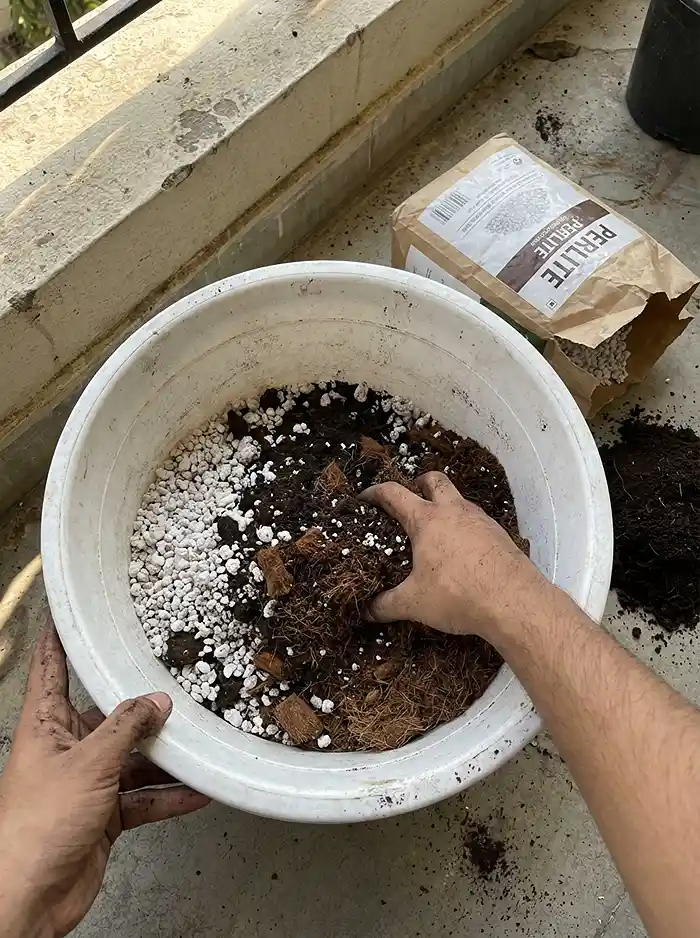 What to Grow on a Balcony 2 Mixing coco peat perlite and compost for balcony container potting soil