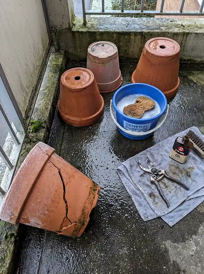 Winter Small-Space Gardening 5 Winter Small-Space Gardening