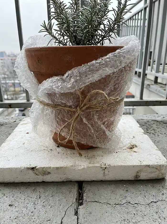 Winter Small-Space Gardening 2 Terracotta pot elevated on polystyrene with bubble wrap insulation in winter