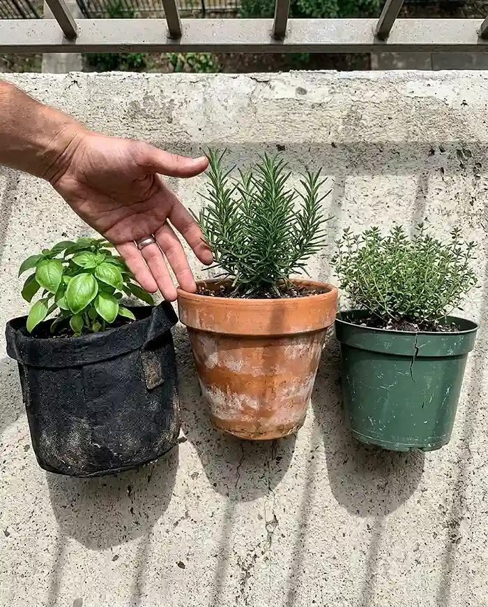 Best Plants for Small-Space Gardening by Season 2 Three container types compared for small-space gardening fabric terracotta and plastic
