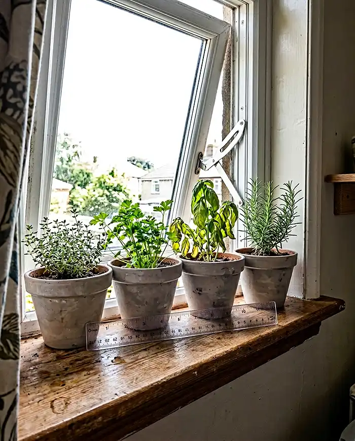 Space Comparison: How Much Room Do You Need? 2 Window sill extension showing plant capacity and clearance for window operation