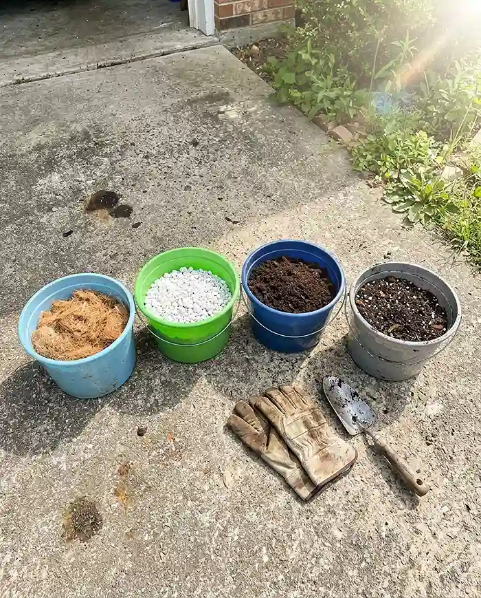 DIY potting mix recipe with coir, perlite, and compost in buckets Placement