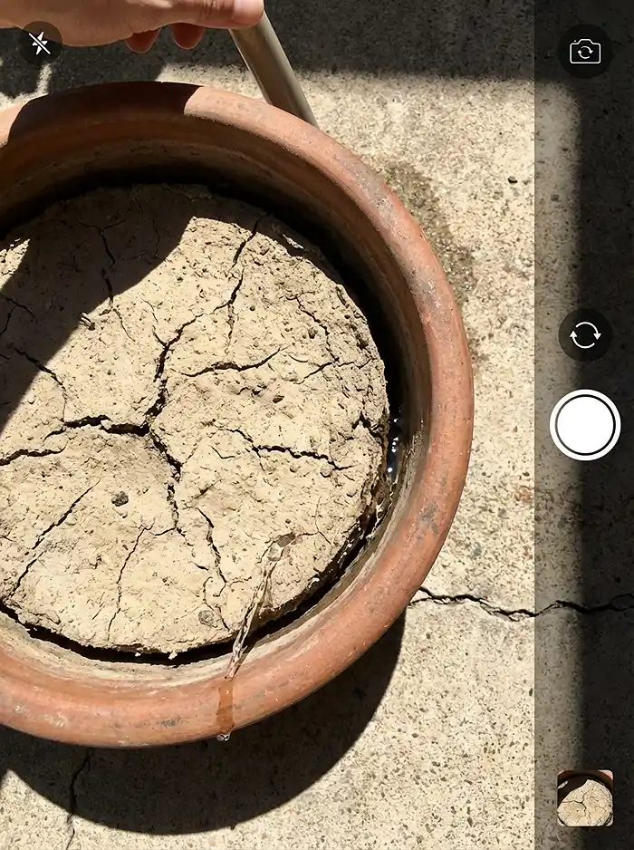 Dry hydrophobic potting mix pulling away from container wall showing bypass flow