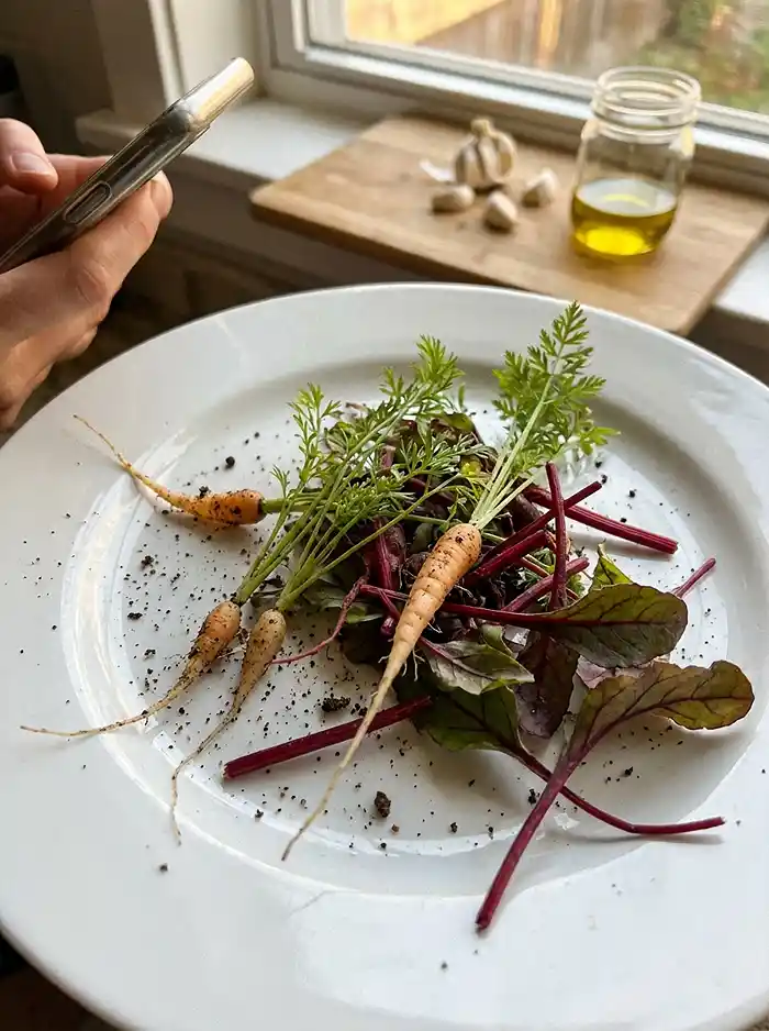 How and When to Thin Root Crops in Pots 4 Edible carrot and beet thinnings on a plate ready for pesto and salads