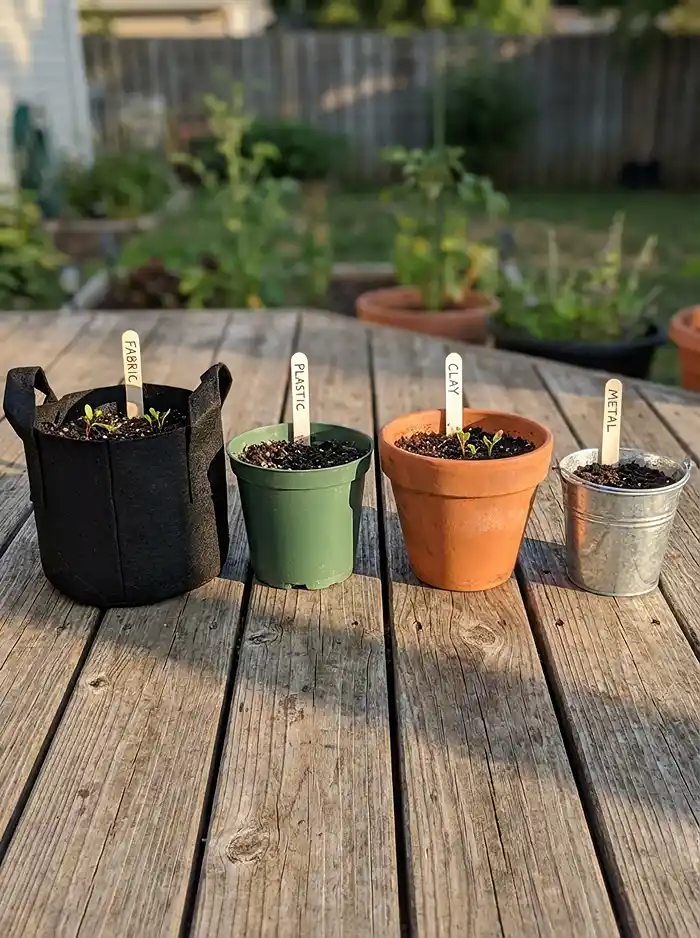 Fabric plastic ceramic and metal containers compared for growing root vegetables
