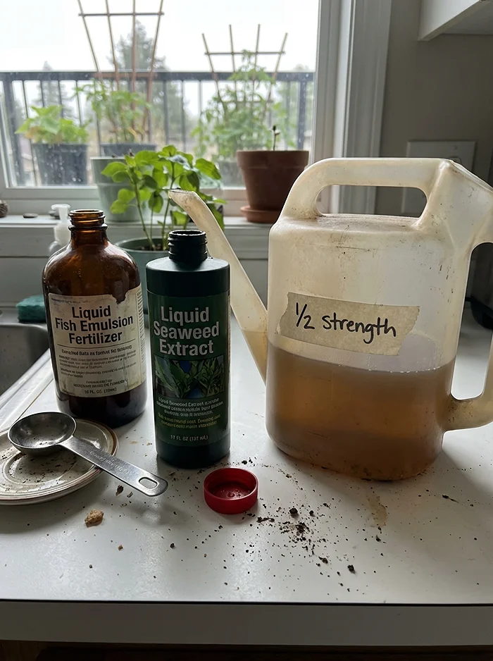  Beginner Fertilizing Schedule for Small-Space Gardens