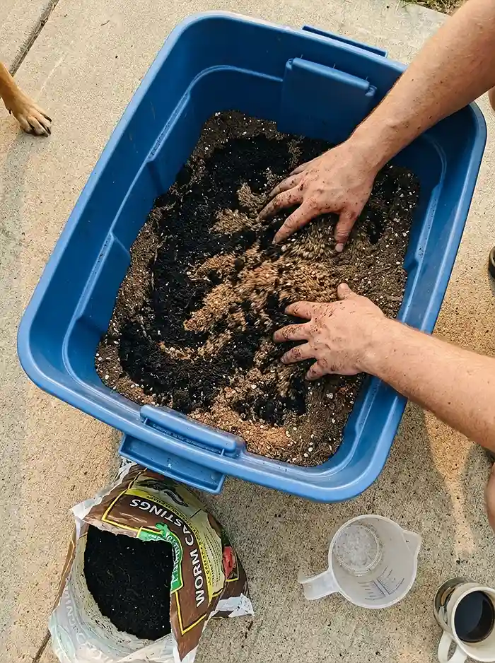 Best Soil Mix For Leafy Greens In Containers (3 Recipes) | City Cultivator