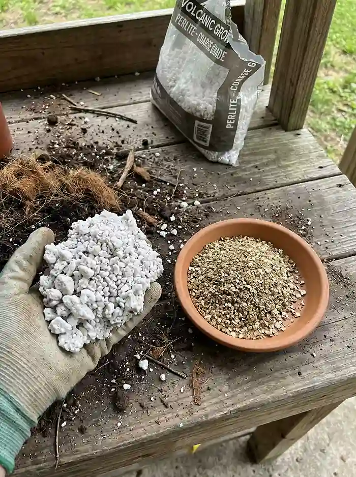 Best Soil for Root Vegetables in Containers 3 Perlite vs vermiculite for aeration for root crops in container soil