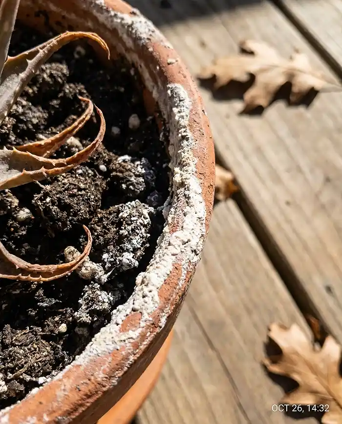 tall square pots for plants Toulan Modern Tall Tapered Square Planter by Jay Scotts – Planters Etc main image 0