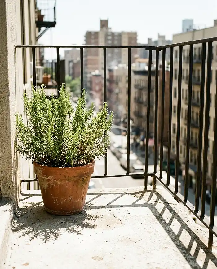 Hot balcony concrete floor and metal railing in direct summer sun showing harsh heat conditions for container plants
