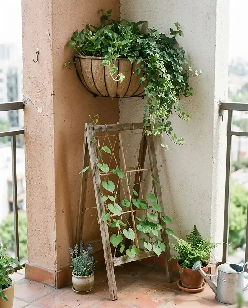 Balcony Corner Hanging Planters That Save Space 4 A quarter-circle corner wire basket mounted flush into a wall junction paired with a leaning A-frame trellis