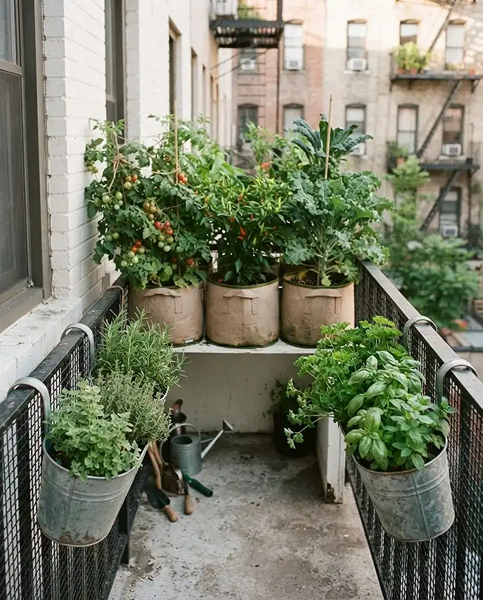 small space garden layout with containers Using Just 5 Pots 4 Row-and-railing container layout along a narrow balcony wall