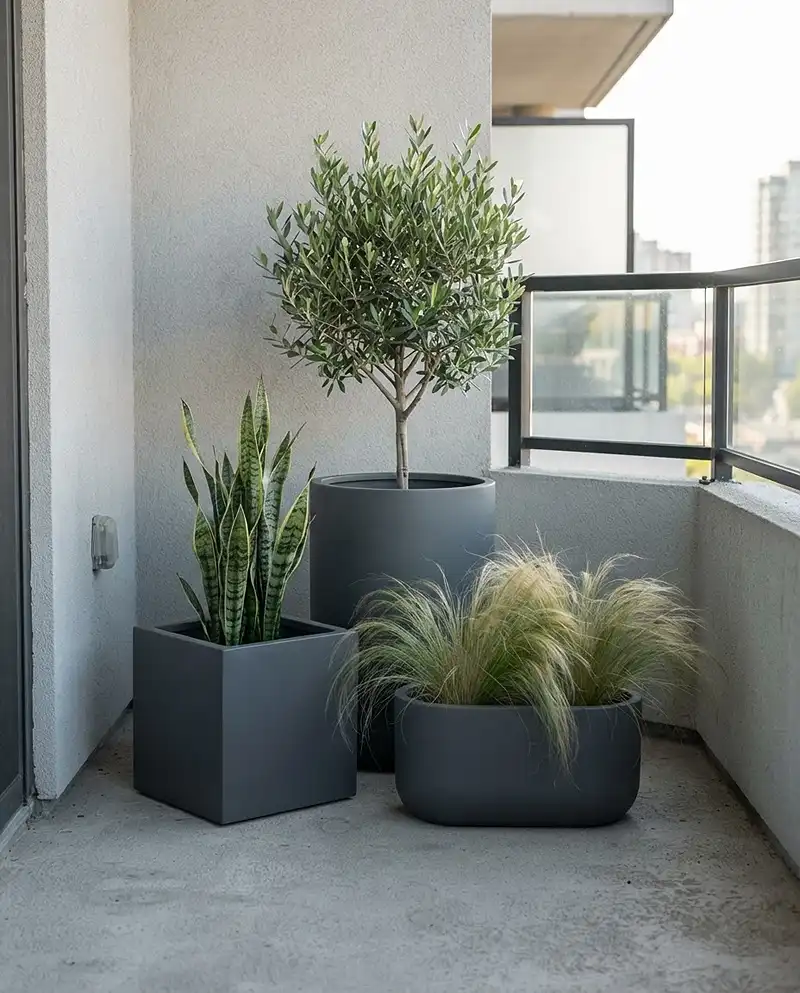 Rule-of-three pot grouping with an olive, snake plant, and feather grass in matching neutral pots