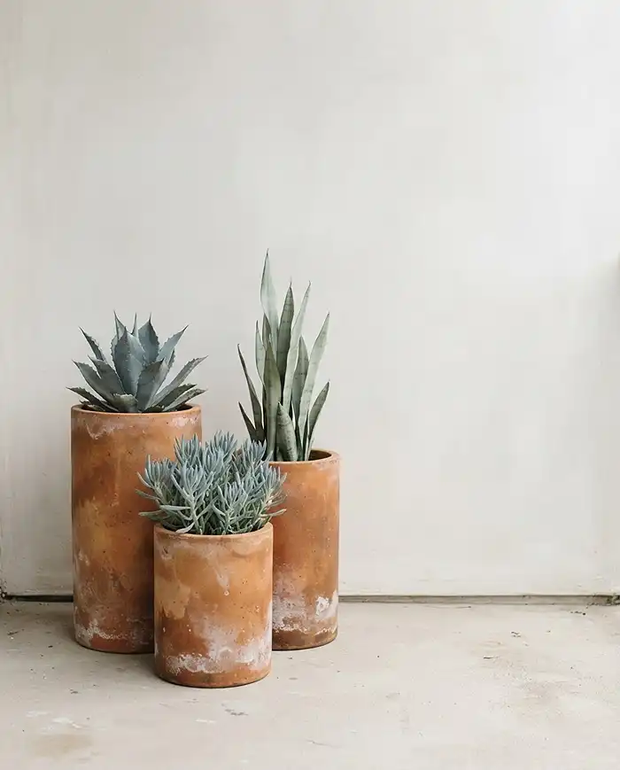Minimalist Balcony Garden Ideas with Olive Green and Terracotta 2 A rule-of-three terracotta pot cluster illustrating minimalist balcony garden ideas with olive green and terracotta.