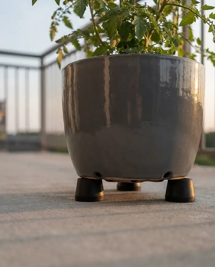 How to Keep Container Soil Cool in Hot Weather 5 Ceramic pot elevated on rubber pot feet to let cool night air circulate under the drainage holes. how to keep container soil cool