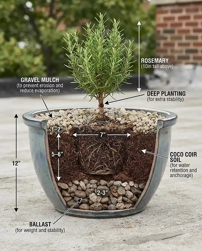 Wind Tolerant Herbs for Balcony Gardens That Thrive 5 Cross-section of a wind-proofed herb container with rock ballast, deep planting, and gravel top-dressing