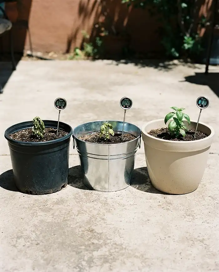 Lightweight Planters for Hot Climates That Stay Cooler 2 Dark plastic and metal pots overheating soil