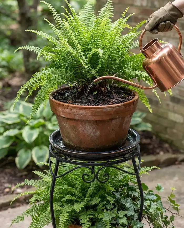 Layered Balcony Planters 5 Long-spout can watering an elevated tiers soil directly while a drip tray protects the plants and floor below