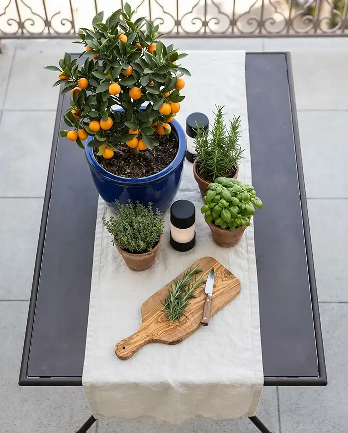 Mediterranean Balcony Tablescape with Herbs and Citrus 4 Overhead tablescape with citrus off-center, herb pots clustered in threes, and lanterns tucked between the pots