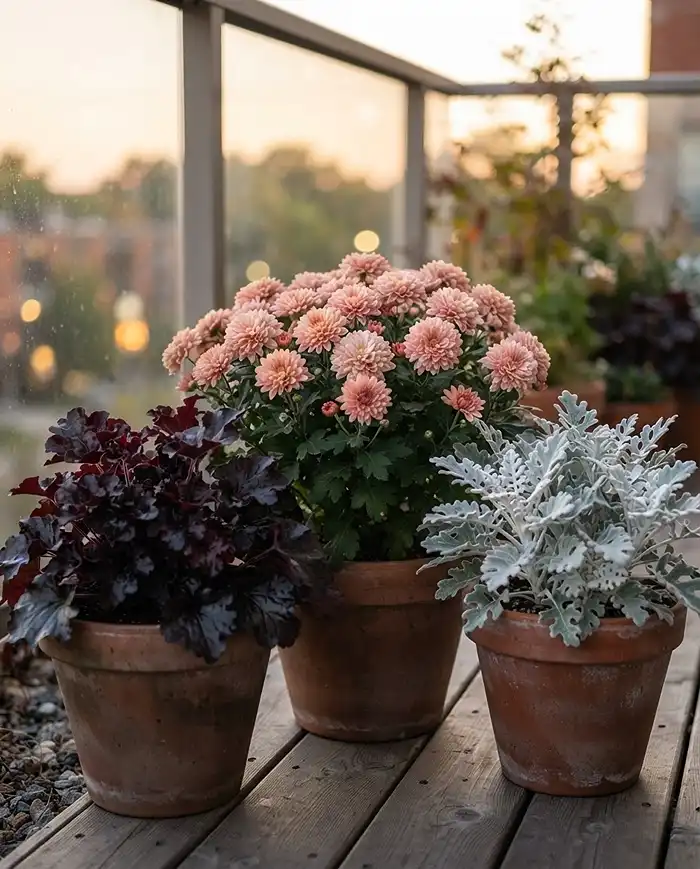 Autumn Balcony Garden Ideas With Cozy Fall Colors 3 Plum heuchera, blush mums, and silver dusty miller layered in a muted palette for soft autumn balcony garden ideas