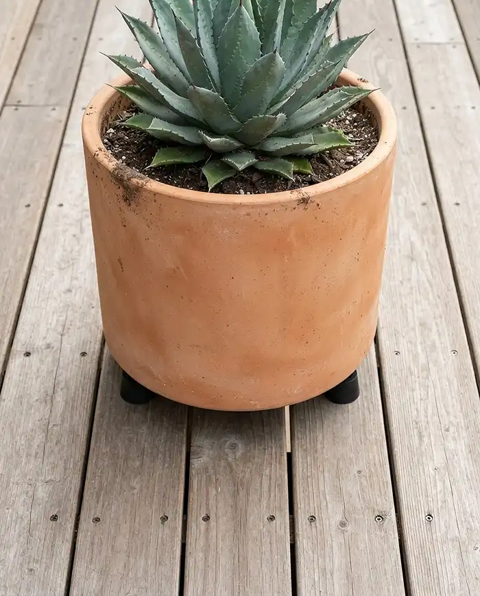 Minimalist Balcony Garden Ideas with Olive Green and Terracotta 3 Terracotta pot raised on rubber feet to prevent moisture rings on a wood balcony deck.