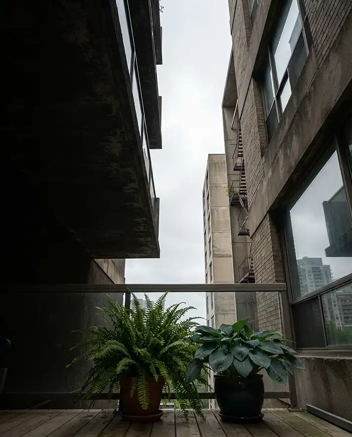 North Facing Balcony Plants: Best Choices for Apartments 2 Looking straight up from a balcony to open sky, the test for telling bright indirect light from deep shade
