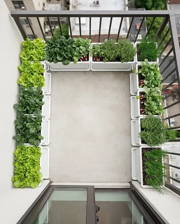 Designing a Small Garden 3 Matching troughs of greens and herbs lining the walls and railing with a bare center walkway, a U‑shape plan for designing a small garden