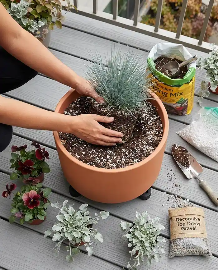 Fall Terracotta Balcony Ideas for a Modern Cozy Look 4 Placing an off-center anchor grass in a sealed terracotta pot before adding mid-layer and trailing plants, following the planting steps. fall terracotta balcony ideas