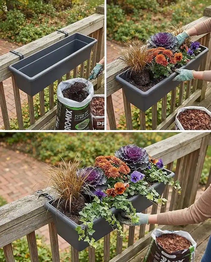 Fall Balcony Railing Planters 4 Planting a railing box with back thrillers, center fillers, and front spillers, following the fall planting steps