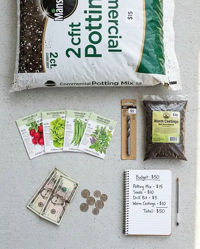 Balcony Garden on a Budget 2 Potting mix, four seed packets, a drill bit, worm castings, and cash laid out with a budget list, allocating a $50 balcony garden