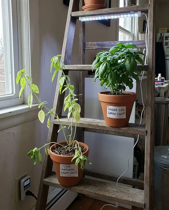 adding LED grow lights to brighten lower tiers of a ladder herb garden