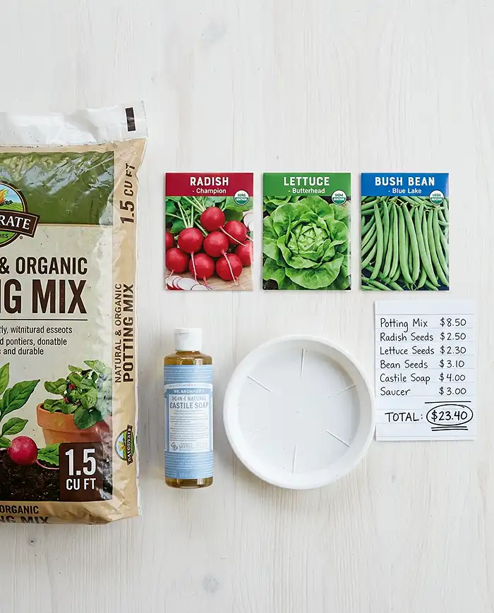Budget Small Garden Ideas 2 allocating a $25 budget for soil, seeds, and supplies.