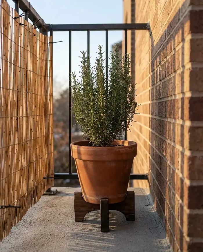 creating a warm balcony microclimate corner with brick mass and a windbreak