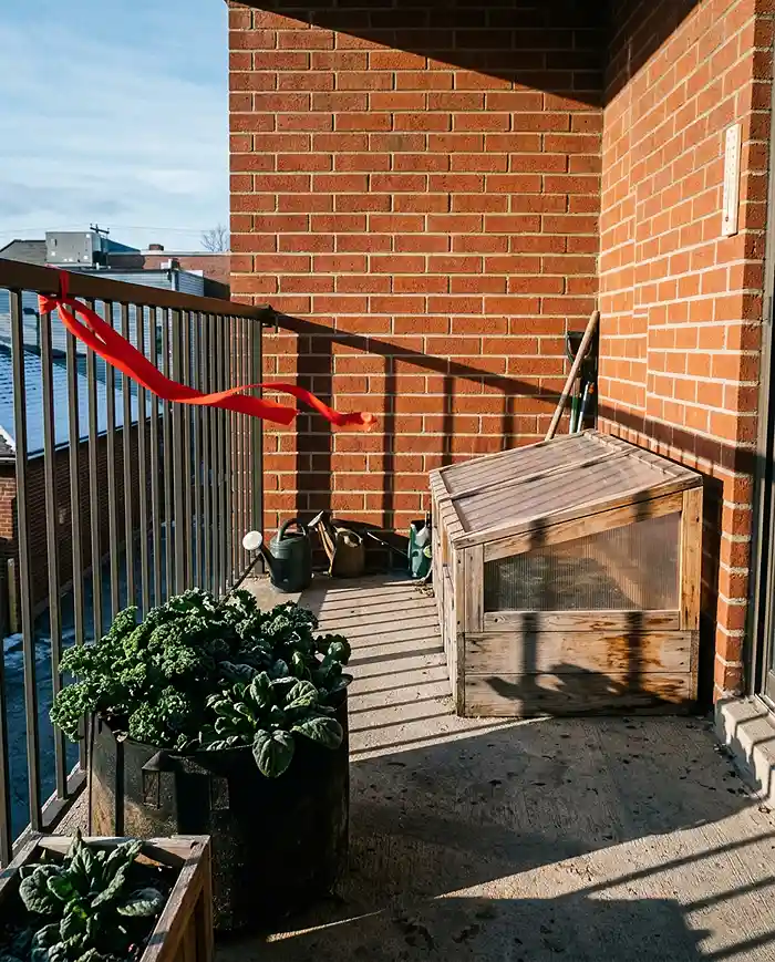 Balcony Cold Frame: Mini Hoop House Guide 2 positioning a balcony cold frame against a south-facing wall for radiant heat